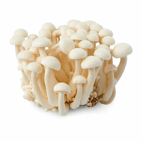 Shimeji Mushroom 150g